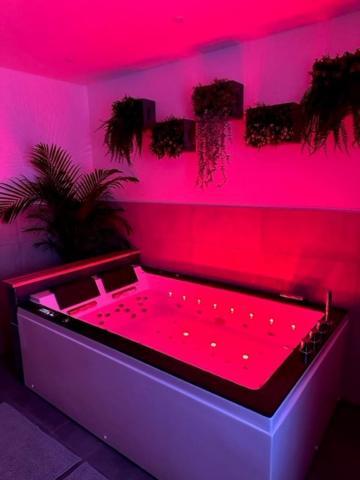 Love Room Cocooning & Spa Épinal Extérieur photo